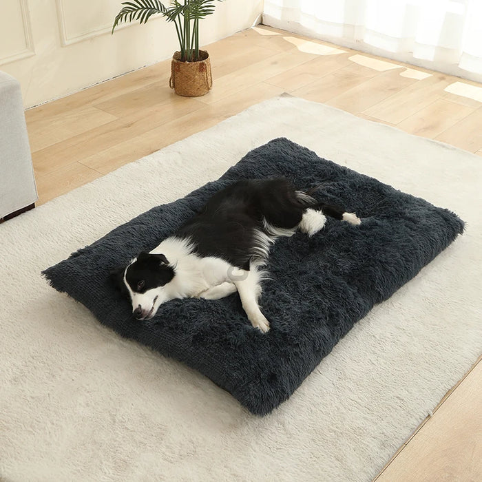 Tapis Chien Peluche Longue XXL | Lavable Machine, Antidérapant, Grand Chien
