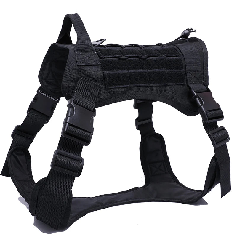 Kit Harnais Tactique Chien + Laisse & Collier | Nylon 1000D, MOLLE, Poignée, Éducation, Marche & Chasse