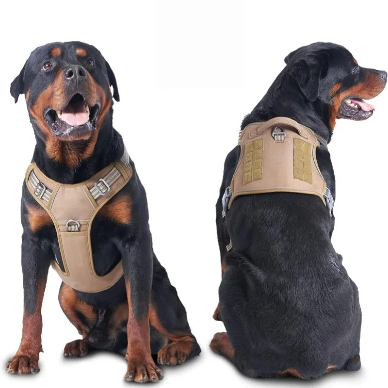 Harnais Cuir Premium pour Chien | Poignée de Maintien, Réglable, Élégant & Résistant, Moyen & Grand Chien