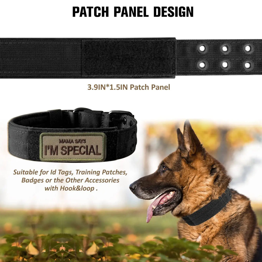 Kit Harnais Tactique Chien + Laisse & Collier | Nylon 1000D, MOLLE, Poignée, Éducation, Marche & Chasse