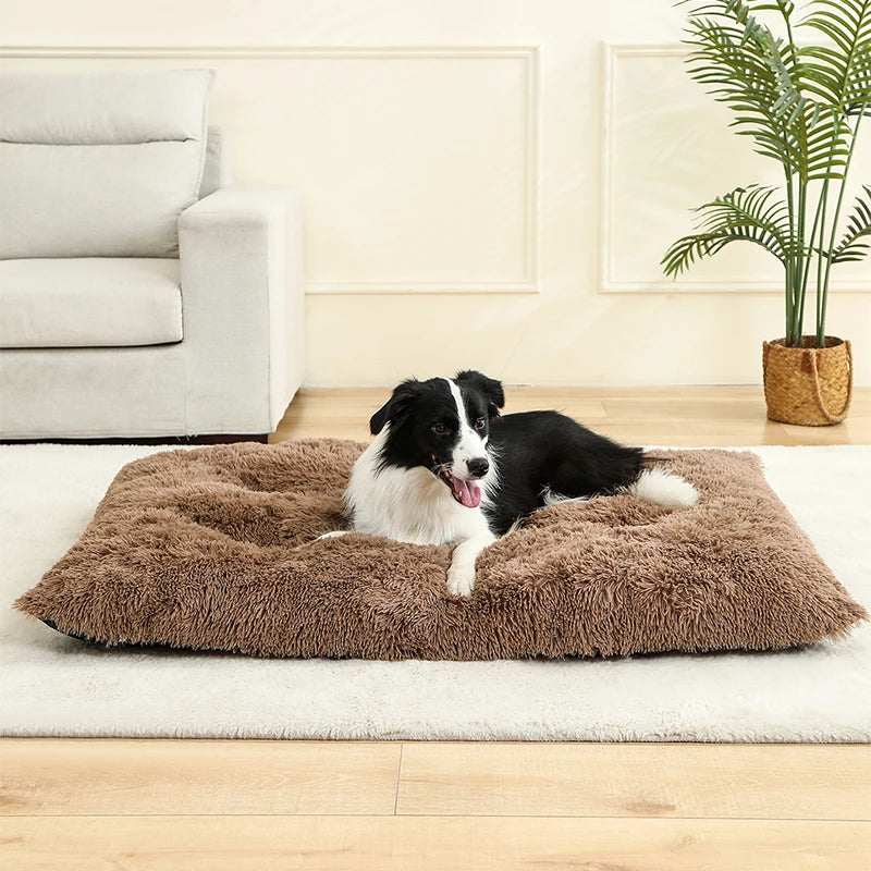 Tapis Chien Peluche Longue XXL | Lavable Machine, Antidérapant, Grand Chien