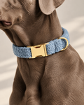 Collier pour Chien Teddy Bleu | Réglable XS à XL, Assorti Laisse & Harnais