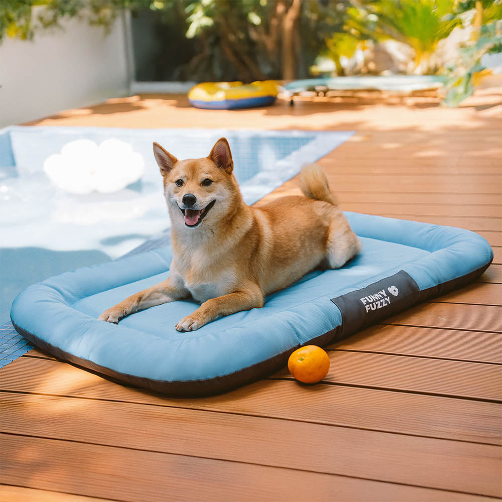 Tapis Orthopédique Résistant pour Chien | Oxford Anti-Déchirure, Réversible, Mémoire de Forme, Toutes Tailles