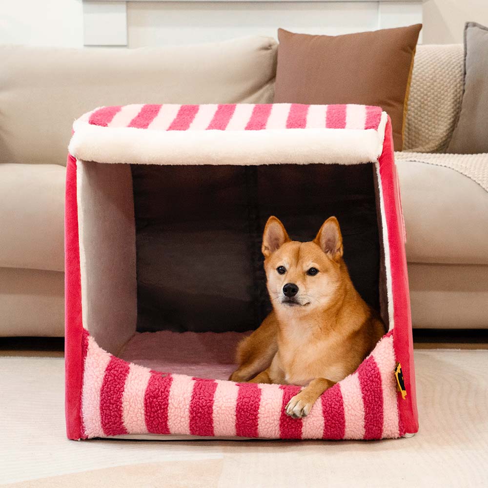 Cabane Orthopédique Rayée pour Chien | Structure Alvéolaire, Lavable, Antidérapant, Cocon Sécurisant