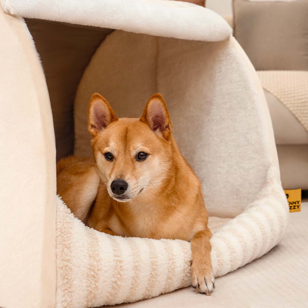 Cabane Orthopédique Rayée pour Chien | Structure Alvéolaire, Lavable, Antidérapant, Cocon Sécurisant