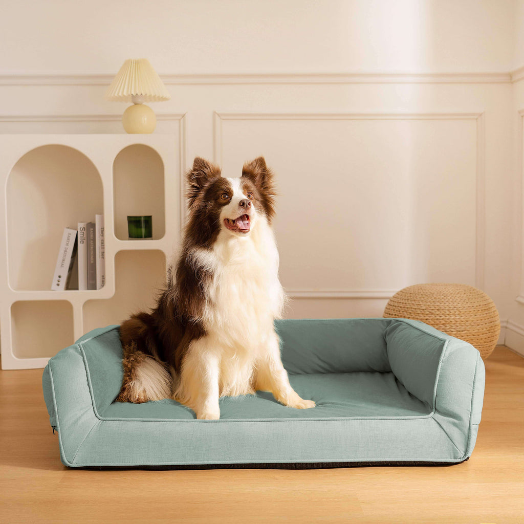 Sofa Lounge Orthopédique Complet pour Chien | Coussins Moelleux, Polaire, Antidérapant