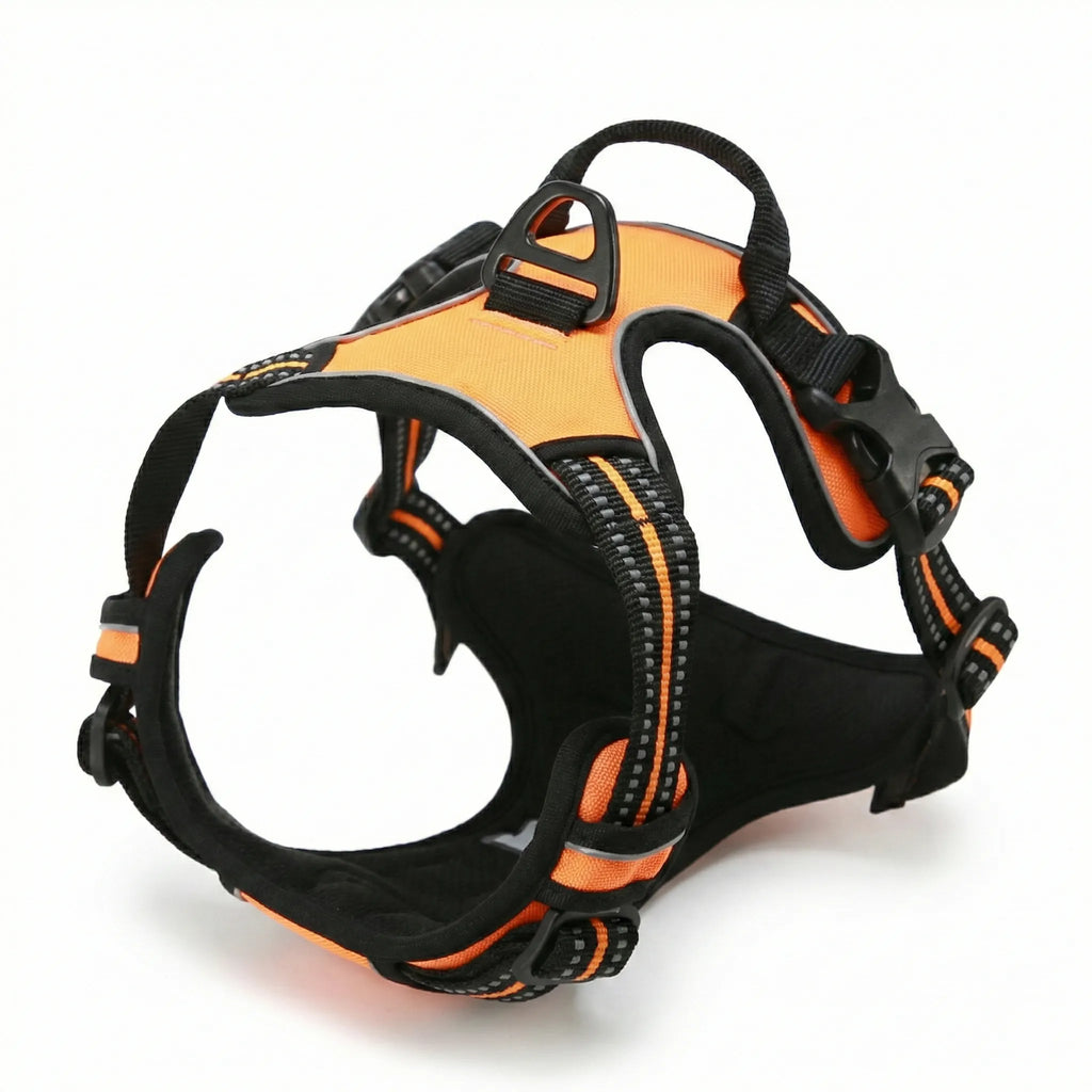 Accessoire de promenade moderne pour chien : harnais rose de haute qualité avec finitions soignées et coutures renforcées, style minimaliste.