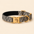 Collier pour Chien Signature Zèbre | Réglable S à L, Assorti Laisse & Harnais