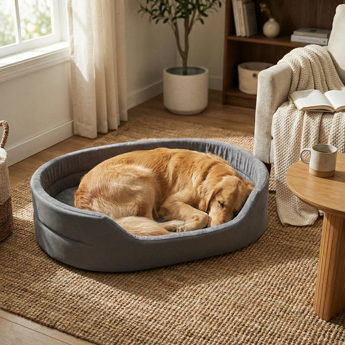 grand chien repose coussin epais salon
