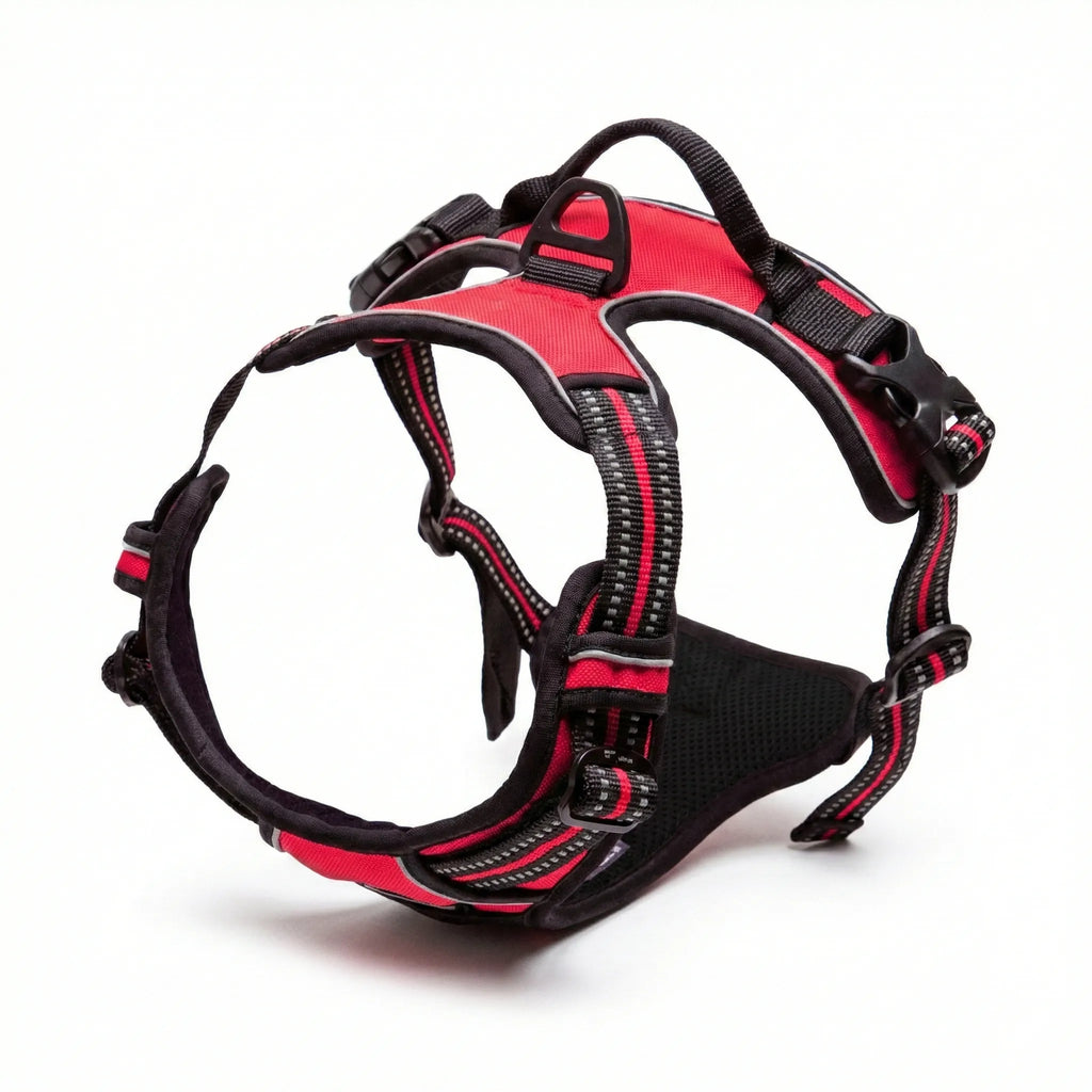 Harnais pour chien avec rembourrage intérieur doux et respirant, conçu pour éviter les frottements et assurer un confort maximal pendant l'effort.