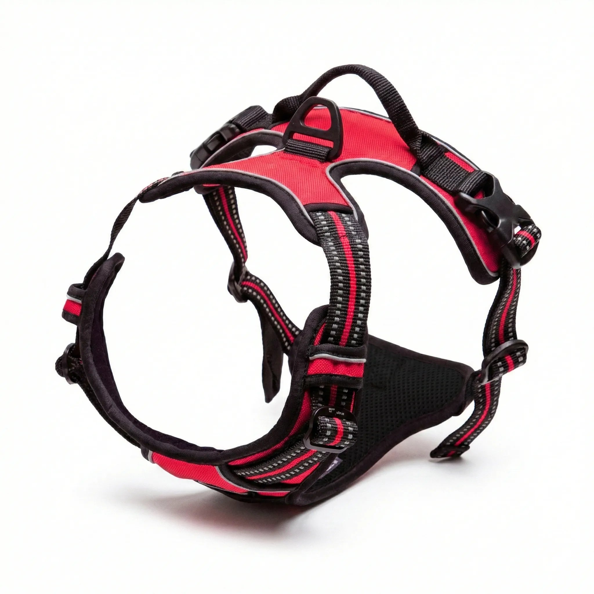 Harnais pour chien avec rembourrage intérieur doux et respirant, conçu pour éviter les frottements et assurer un confort maximal pendant l'effort.