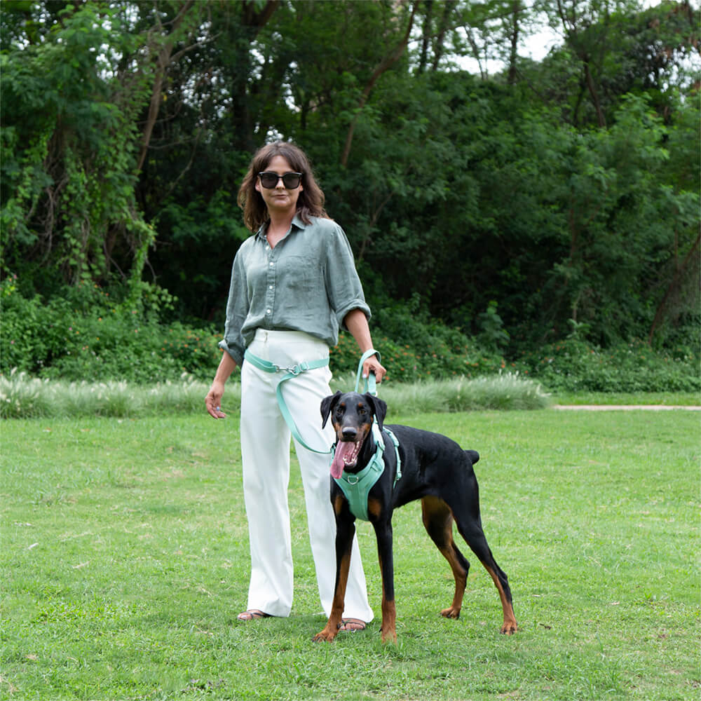 Laisse Imperméable Gummy pour Chien | Plage, Pluie & Baignade, Nettoyage Facile, Couleurs Été