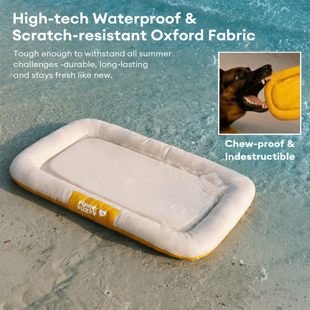 Tapis Orthopédique Résistant pour Chien | Oxford Anti-Déchirure, Réversible, Mémoire de Forme, Toutes Tailles