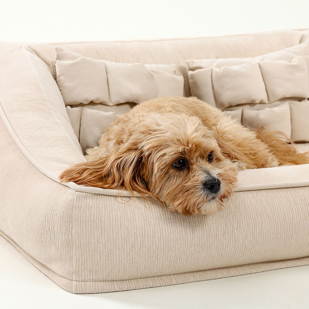 Sofa Orthopédique avec Coussins pour Chien | Mousse Haute Densité, Antidérapant, Seniors & Arthrose