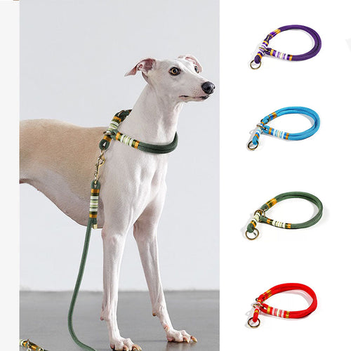 Collier Éducation Corde Tressée Main | Anti-Traction, Nylon Résistant, Chic & Sport, 4 Coloris