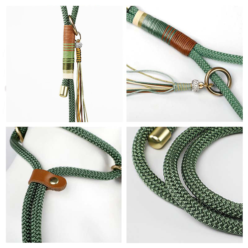 Laisse Éducation Corde Tressée Main Chien | Anti-Traction, Nylon Résistant, Mousqueton Métal, 3 Coloris