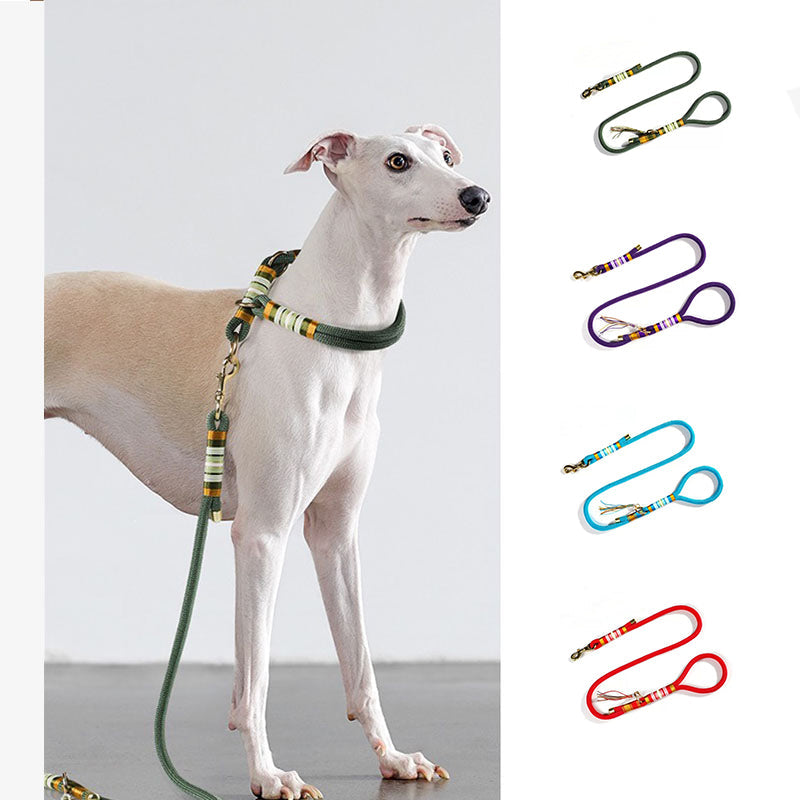 Laisse Éducation Corde Tressée Main Chien | Anti-Traction, Nylon Résistant, Mousqueton Métal, 3 Coloris