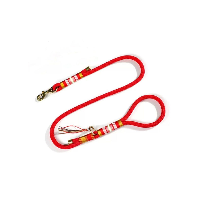 Laisse Éducation Corde Tressée Main Chien | Anti-Traction, Nylon Résistant, Mousqueton Métal, 3 Coloris