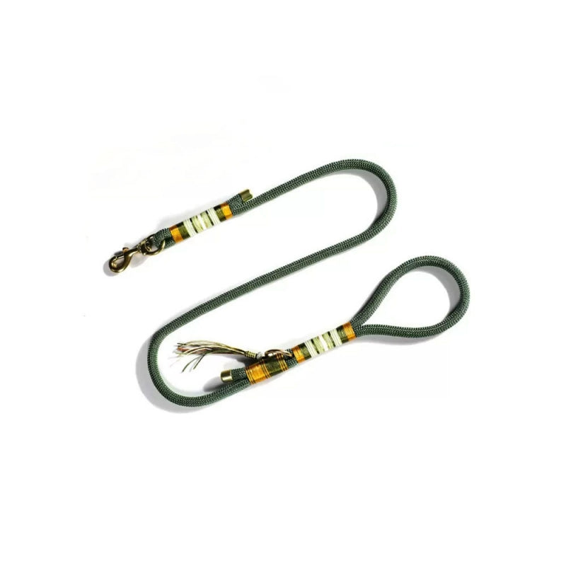 Laisse Éducation Corde Tressée Main Chien | Anti-Traction, Nylon Résistant, Mousqueton Métal, 3 Coloris
