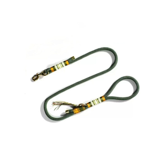 Laisse Éducation Corde Tressée Main Chien | Anti-Traction, Nylon Résistant, Mousqueton Métal, 3 Coloris
