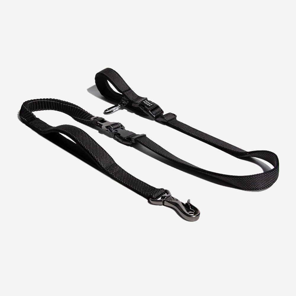 Laisse Multifonction 6-en-1 Mains Libres | Ceinture Sécurité Voiture, Amortisseur, Réfléchissante, Course & Rando