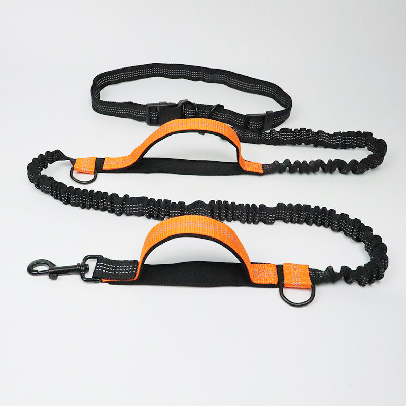 Laisse Multifonction 6-en-1 Mains Libres | Ceinture Sécurité Voiture, Amortisseur, Réfléchissante, Course & Rando