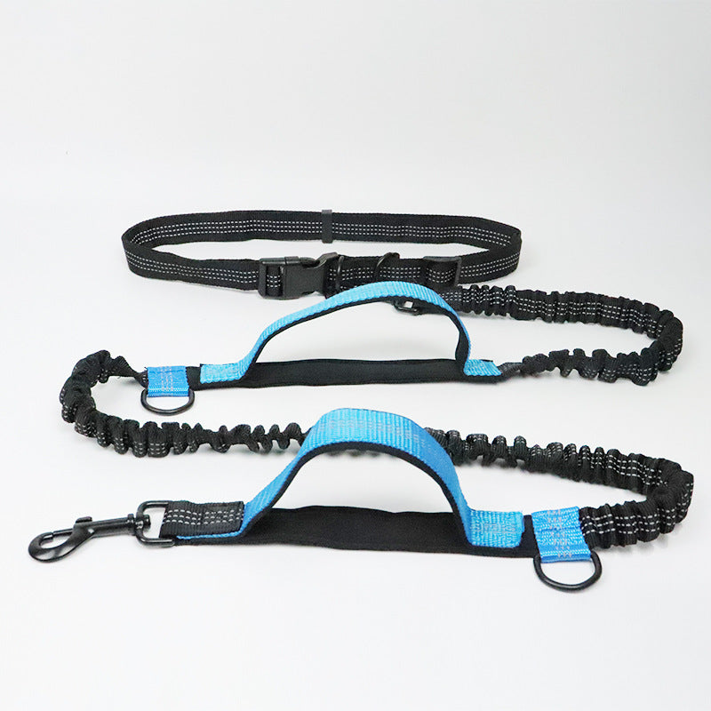 Laisse Multifonction 6-en-1 Mains Libres | Ceinture Sécurité Voiture, Amortisseur, Réfléchissante, Course & Rando