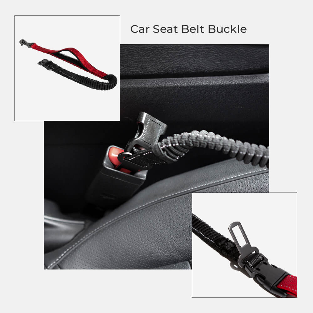 Laisse Multifonction 6-en-1 Mains Libres | Ceinture Sécurité Voiture, Amortisseur, Réfléchissante, Course & Rando