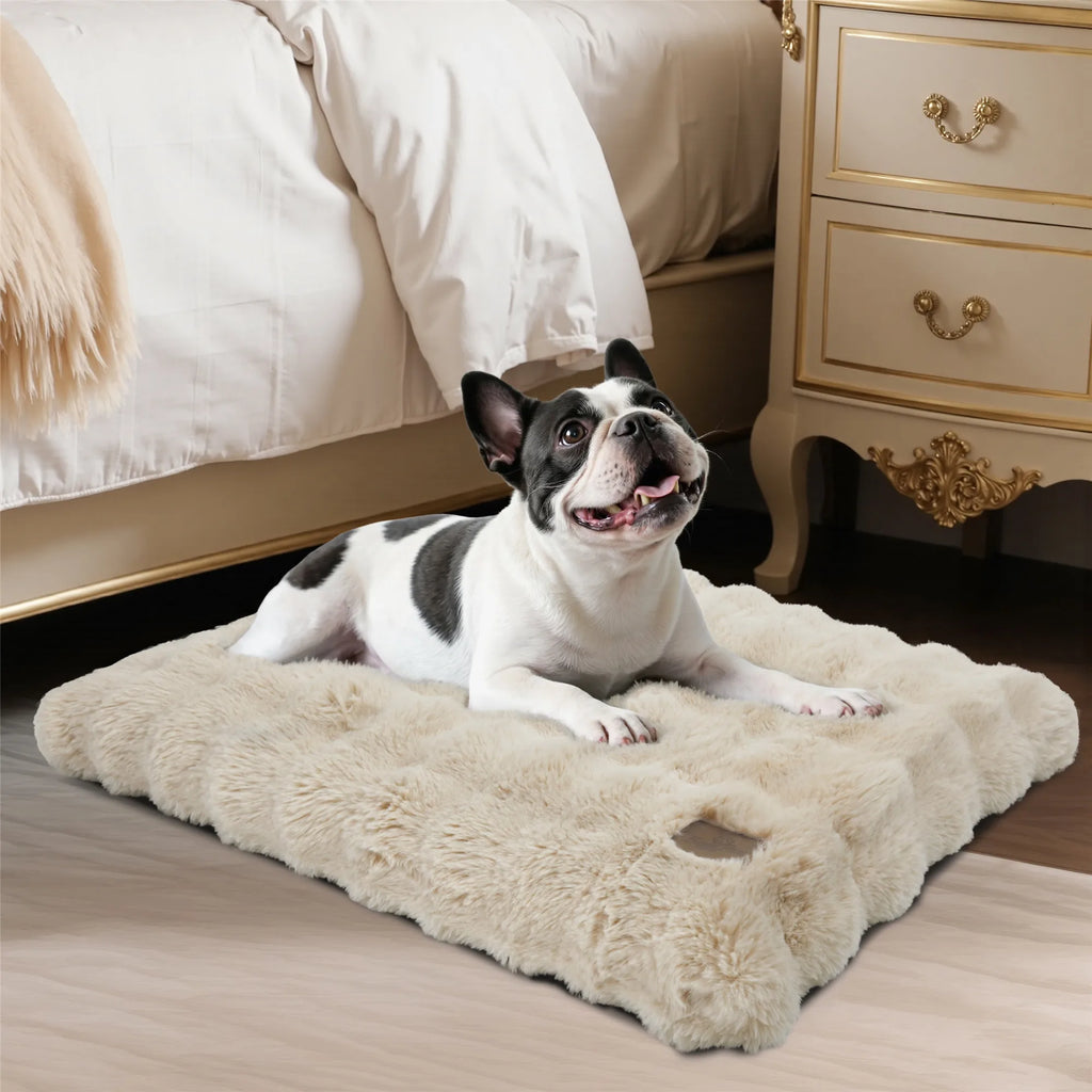 lit chien surface douce peluche