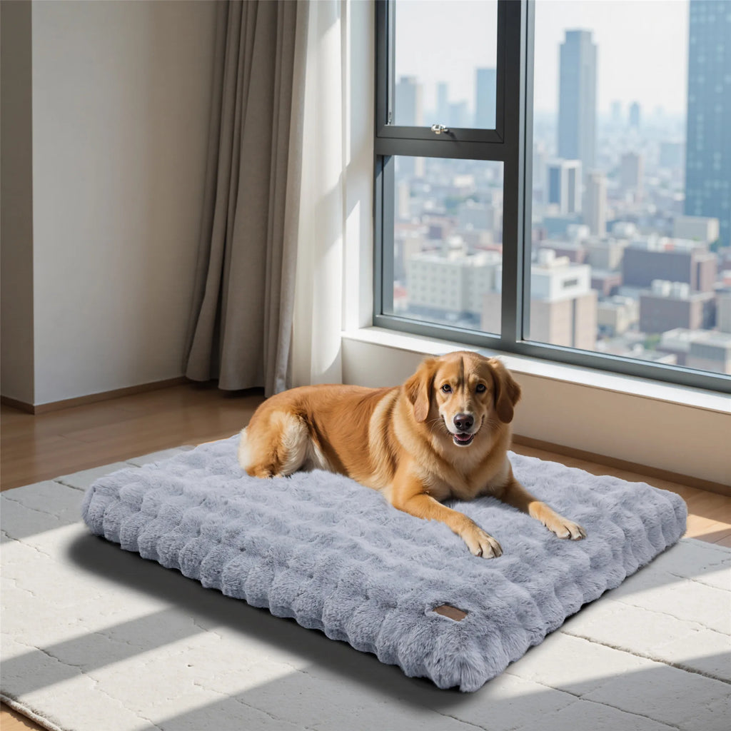 lit chien xl grande taille
