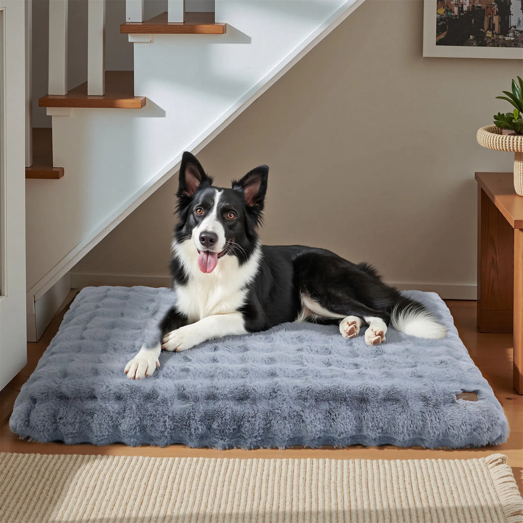 lit chien usage quotidien durable