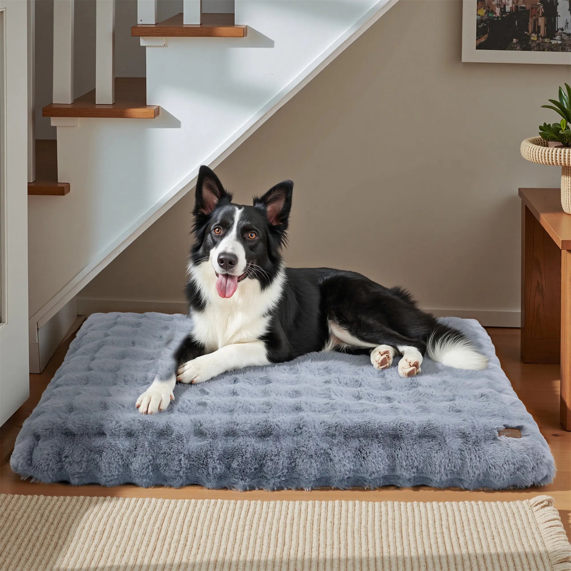 lit chien usage quotidien durable