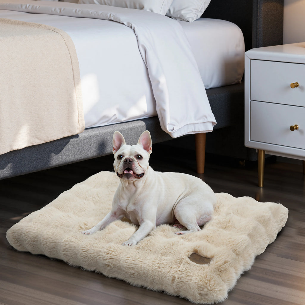 lit chien panier confortable

