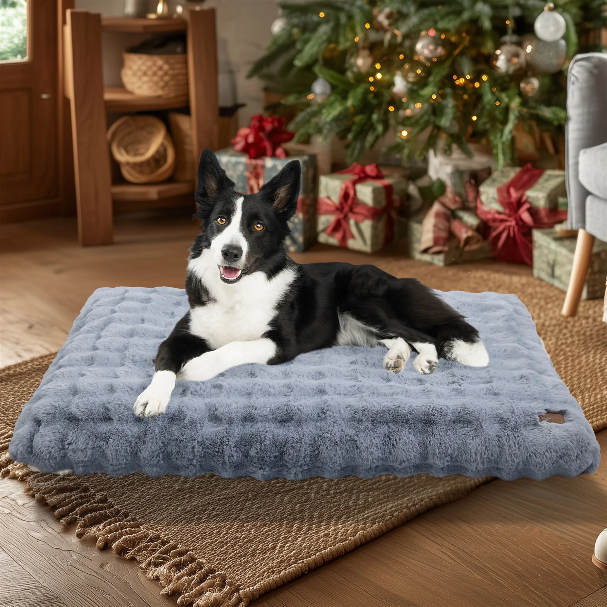 lit chien favorise repos profond
