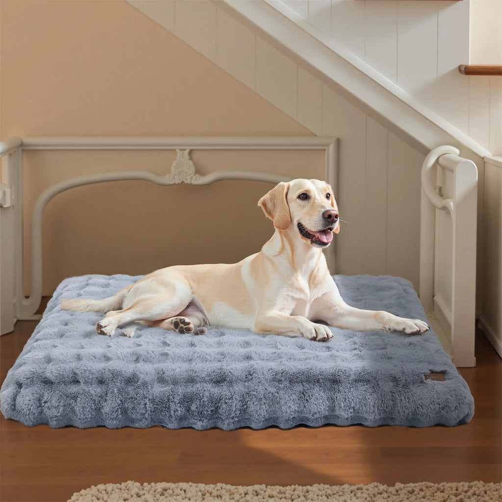 lit chien base impermeable durable
