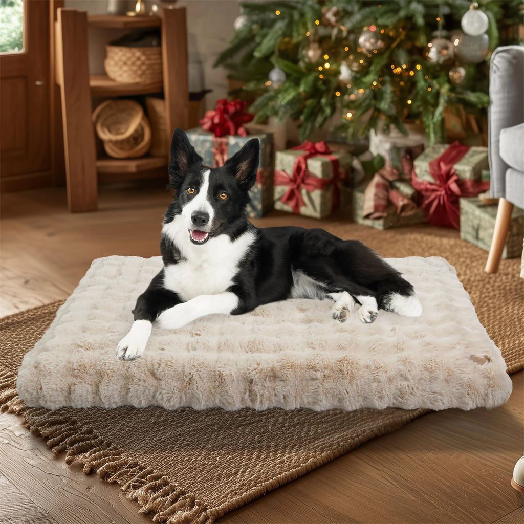 lit chien doux et chaud
