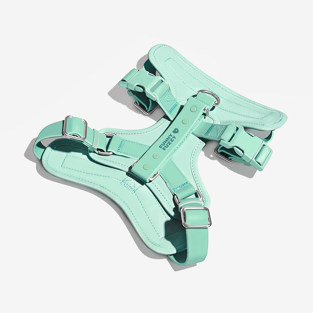 Harnais Imperméable Gummy pour Chien | Antibactérien, Anti-Traction, Plage & Baignade, Nettoyage Facile