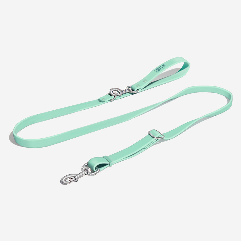 Laisse Imperméable Gummy pour Chien | Plage, Pluie & Baignade, Nettoyage Facile, Couleurs Été