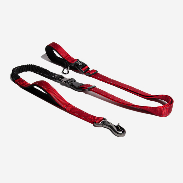 Laisse Multifonction 6-en-1 Mains Libres | Ceinture Sécurité Voiture, Amortisseur, Réfléchissante, Course & Rando