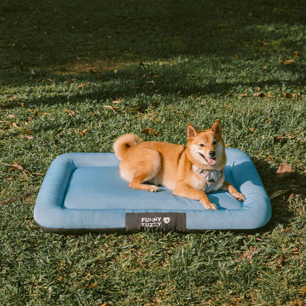 Tapis Orthopédique Résistant pour Chien | Oxford Anti-Déchirure, Réversible, Mémoire de Forme, Toutes Tailles