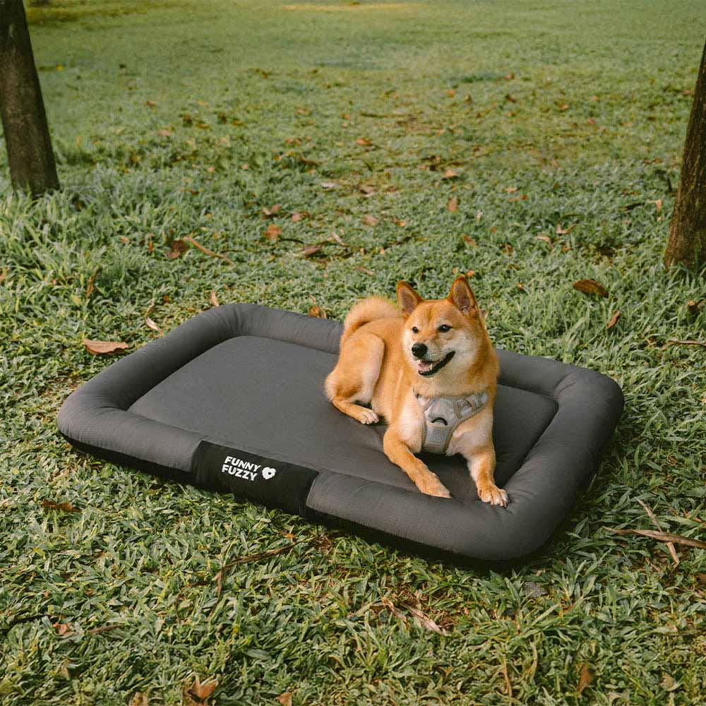 Tapis Orthopédique Résistant pour Chien | Oxford Anti-Déchirure, Réversible, Mémoire de Forme, Toutes Tailles