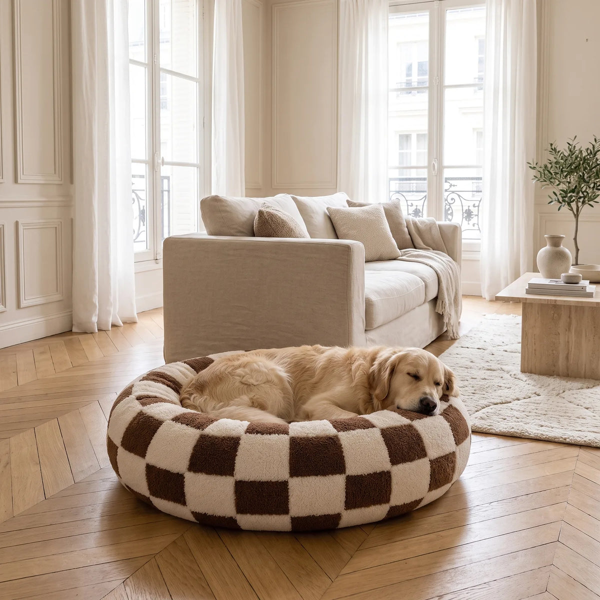 Golden Retriever endormi dans un panier rond anti-stress à damier marron et crème, dans un salon lumineux