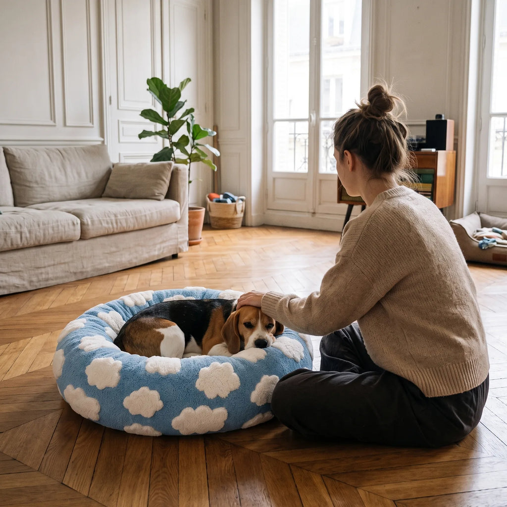 Maîtresse caressant son beagle couché dans un panier anti-stress bleu