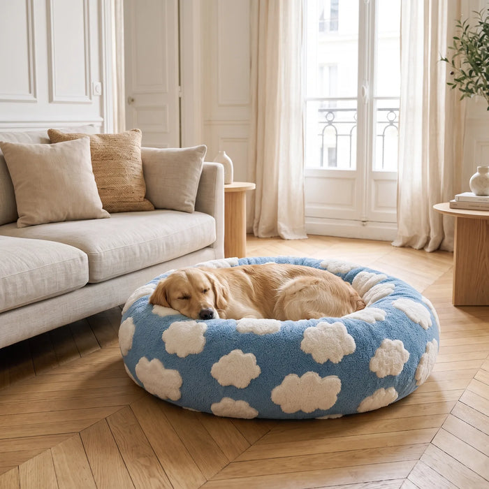 Golden Retriever endormi dans un panier rond anti-stress bleu à motif nuages, dans un salon lumineux