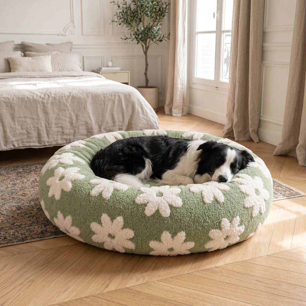 Border Collie dans le grand format du panier anti-stress vert à pâquerettes