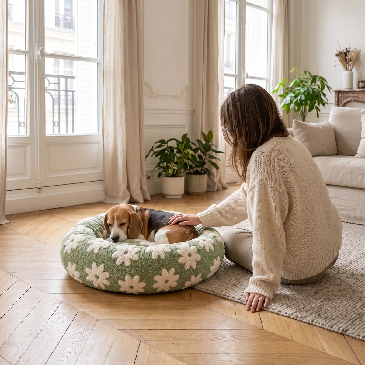 Maîtresse caressant son beagle couché dans un panier anti-stress vert