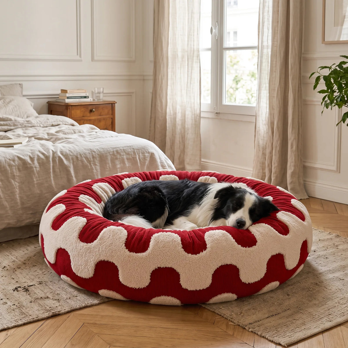 Border Collie dans le grand format du panier anti-stress rouge à motif vagues