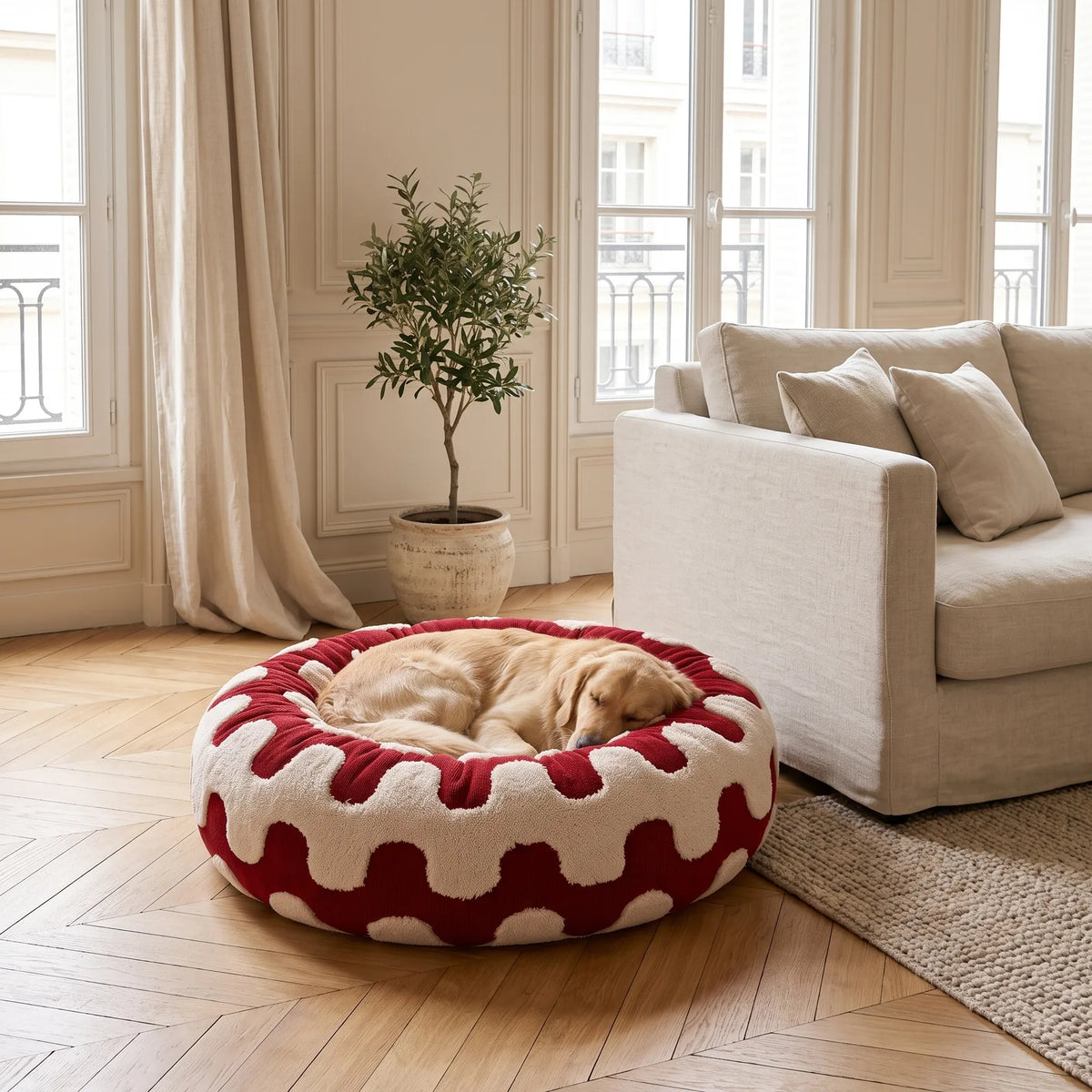 Golden Retriever endormi dans un panier rond anti-stress rouge et crème à motif vagues, dans un salon lumineux