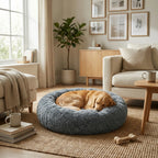 chien couche dans panier doux interieur maison