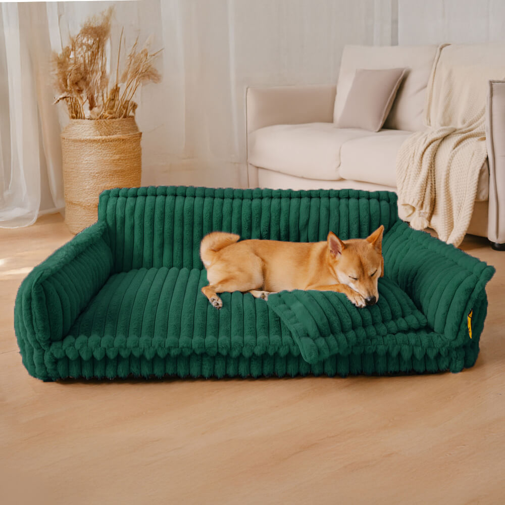 Sofa orthopédique pour chien - chien confortablement installé